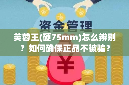 芙蓉王(硬75mm)怎么辨别？如何确保正品不被骗？